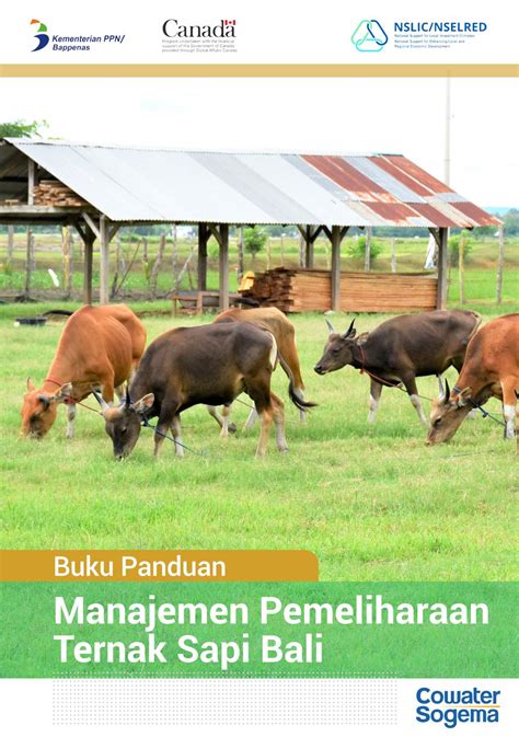 Panduan Manajemen Pemeliharaan Ternak Sapi Bali by NSLIC/NSELRED Project - Issuu