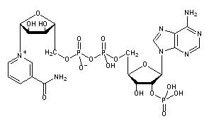 Nadp Structure