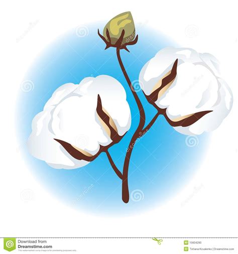 Cotton plant clipart 20 free Cliparts | Download images on Clipground 2024