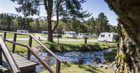 Glenmore Campsite - Aviemore | Camping in the Forest