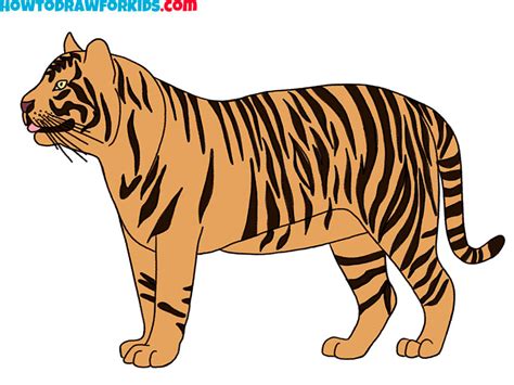 How to Draw a Realistic Tiger - Easy Drawing Tutorial For Kids