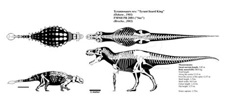 Ankylosaurus vs Tyrannosaurus rex | Dinosaur art, Prehistoric animals ...