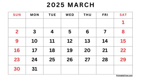 March 2025 Calendar Printable PDF Template with Holidays