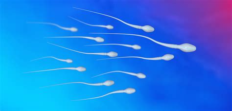 How to Increase Sperm Motility