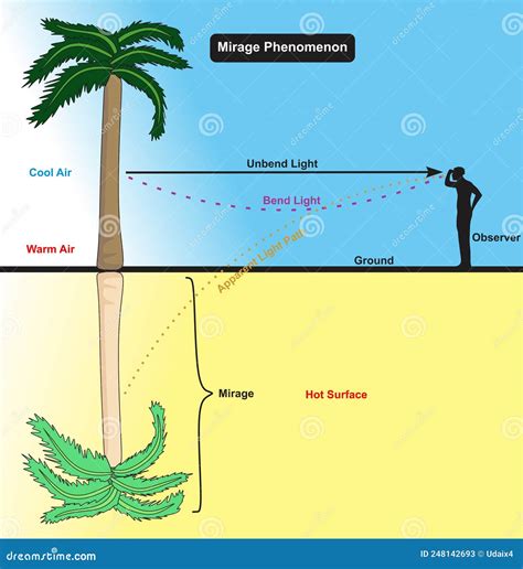 Mirage Optical Phenomenon Infographic Diagram Light Bend Refraction ...