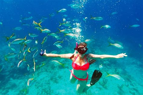 Roatan 3 Stops Snorkeling: Shipwreck, Starfish & Blue Channel - Roatan Five Stars Tours