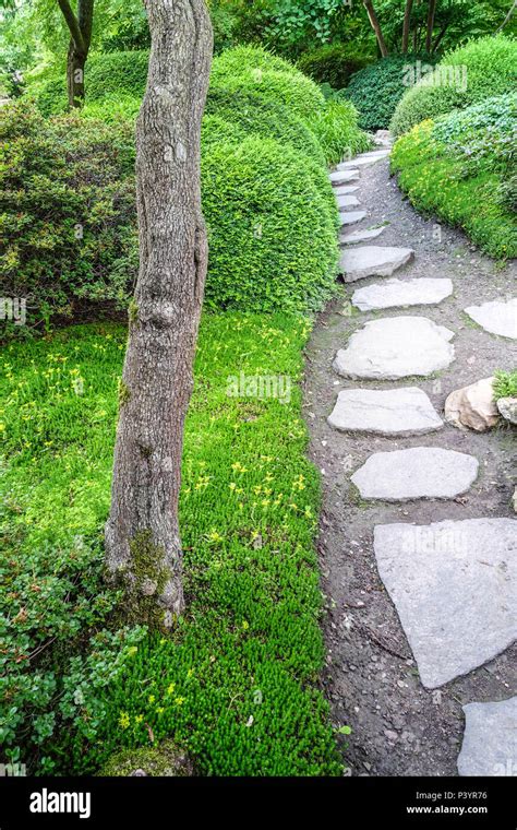 Garden path in the Japanese garden, Prague, Troja, Czech Republic Stock ...