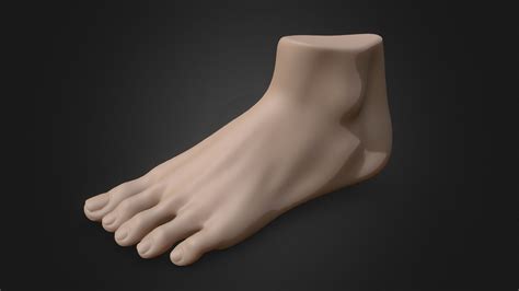 Female Foot - Download Free 3D model by yuzutarou (@yuzuponponpon) [3a96b8b] - Sketchfab