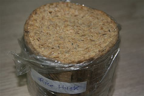 Briquettes of Rice husk | Food, Husk, Breakfast