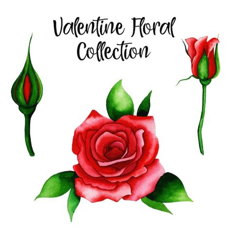 Premium Vector | Watercolor valentine floral collection