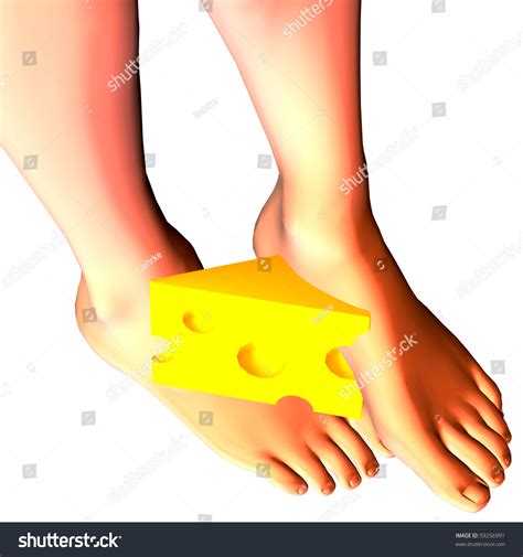 3d Rendering Feet Cheese Illustration Stock Illustration 59256991 ...