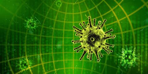 7 Types of Computer Viruses to Watch Out For and What They Do