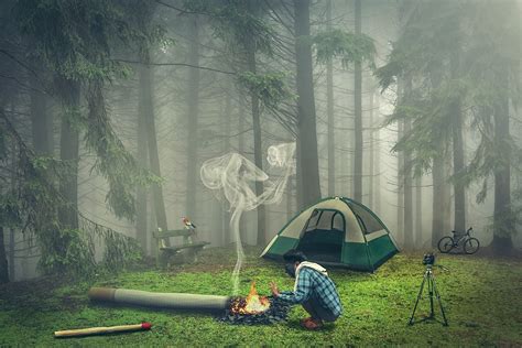 white and green dome tent free image | Peakpx