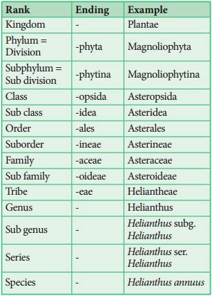 Taxonomic Hierarchy