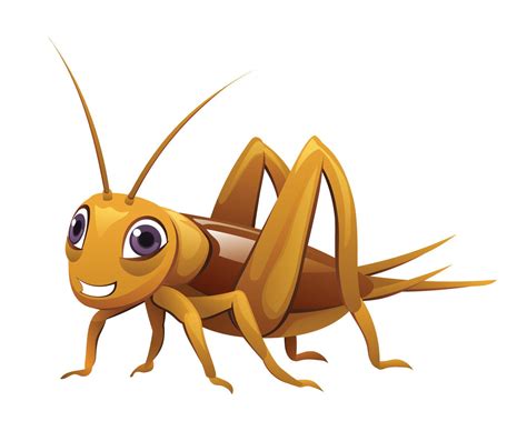 Cute cricket insect cartoon illustration isolated on white background ...