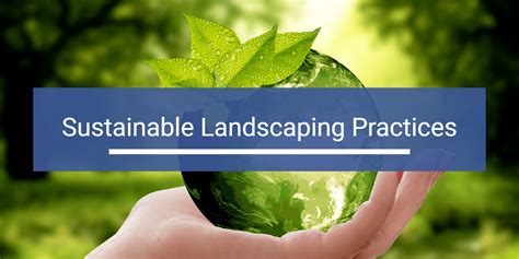 Sustainable Landscaping Practices - Westcoast Landscape and Lawns