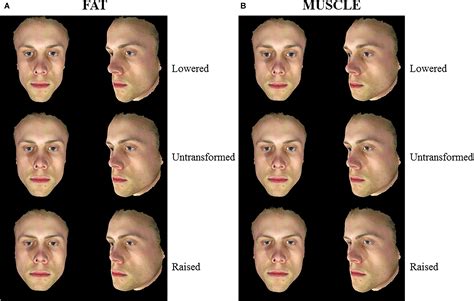 The Influence of Body Composition Effects on Male Facial Masculinity and Attractiveness (2024)