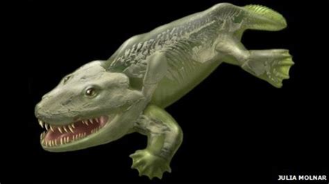 Fundamental revisions for early tetrapod anatomy? : biology