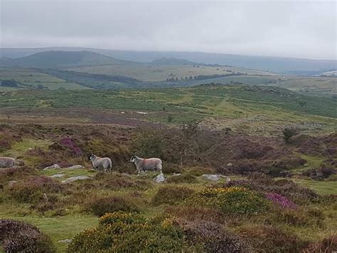 Haytor Rocks Routes for Walking and Hiking | Komoot