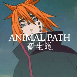 Pein Animal Path