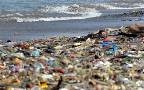 Pemkot Padang Kualahan Atasi Penumpukan Sampah di du Pantai - Bisnis.com