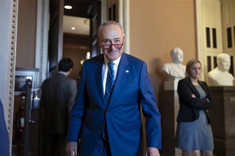 Schumer re-elected Senate leader after Dems expand majority