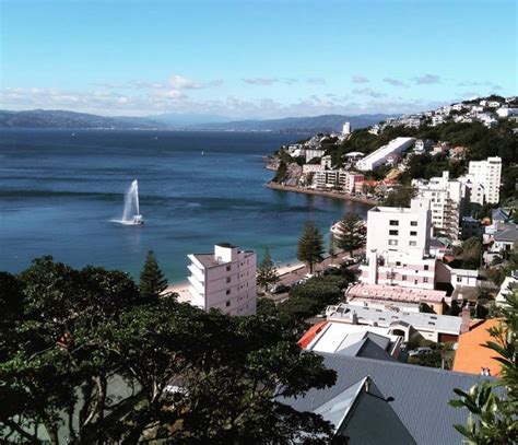 Wellington Mount Victoria New Zealand history culture solo female travel - The Imagination Trail