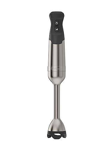 Best Vitamix Immersion Blender Review