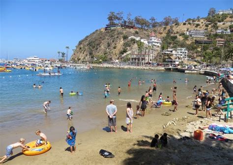 Crescent Beach on Catalina Island | Catalina island, Island cruises