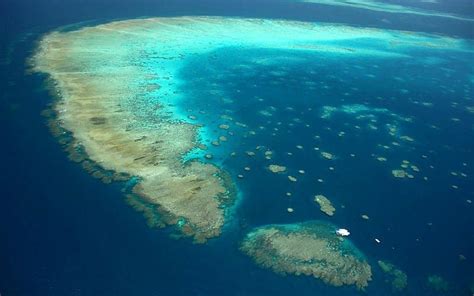 How To Visit The Great Barrier Reef From Cairns: Tours & Tips