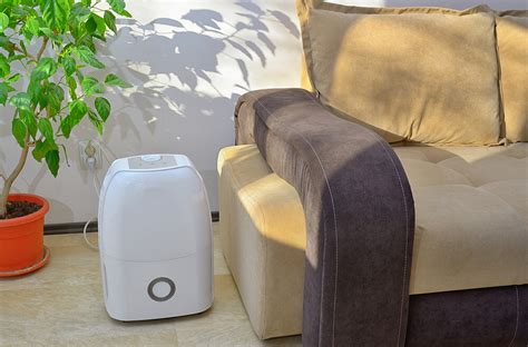 How To Use A Dehumidifier Properly - 5 Tips To Consider – Air Kozy