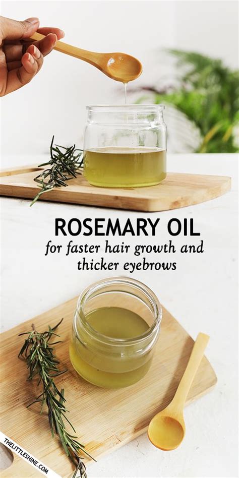 HOW TO MAKE ROSEMARY OIL FOR faster hair growth and thicker eyebrows ...