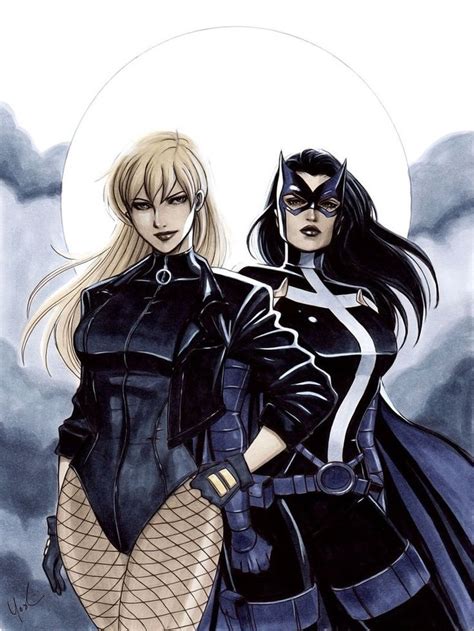 Black Canary and Huntress by Lynne Yoshi | Black canary, Comics girls, Dc comics art