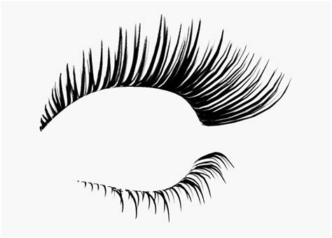 cartoon eyelashes clipart 10 free Cliparts | Download images on Clipground 2024