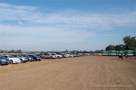 Gilroy Garlic Festival: What to do at California's Garlic Extravaganza - California Through My Lens