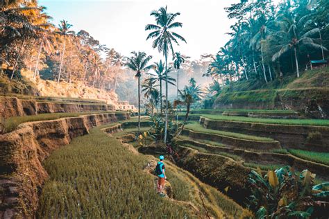 Bali 4k Wallpapers - Top Free Bali 4k Backgrounds - WallpaperAccess