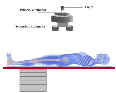 Computational model employed in this work for the radiotherapy ...