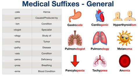 Medical Suffixes Made Easy: List, Meanings, Example, 51% OFF