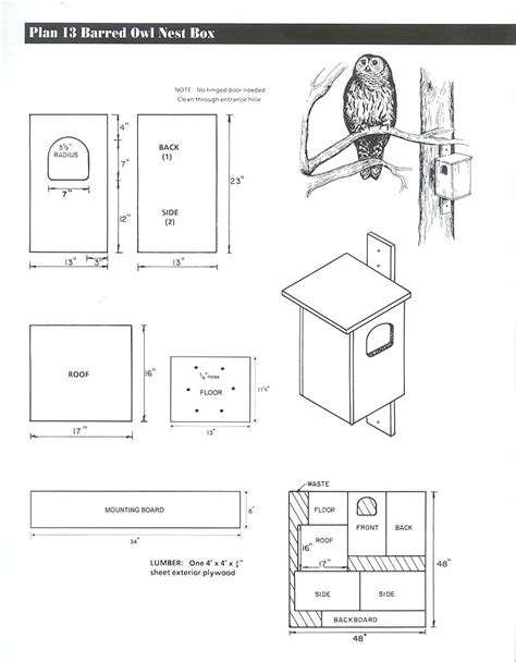 cheapmieledishwashers: 21 Images Screech Owl Nest Box Placement