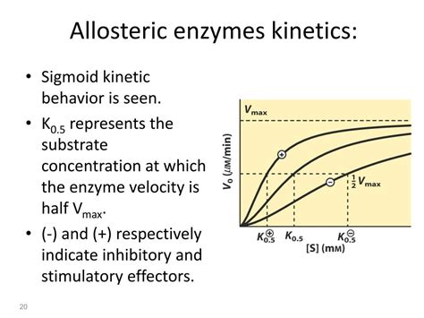 PPT - GLUCONEOGENESIS PowerPoint Presentation, free download - ID:497671