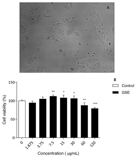 (A) HaCaT cells; (B) Viability measured in vitro on HaCaT cells for ...