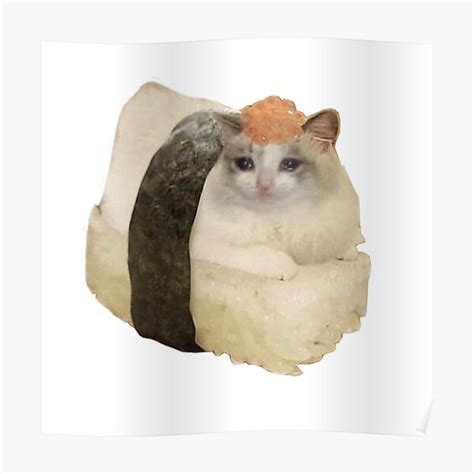 "Sushi cat meme" Poster by llie | Redbubble