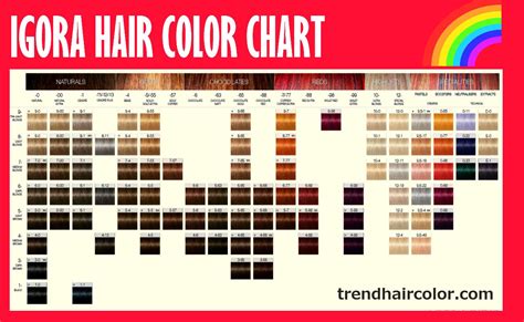 Schwarzkopf Hair Color Chart