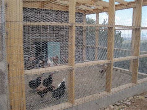 Chicken Wire Fence for Feeding Poultry, Protecting Plants, Prevent Animals