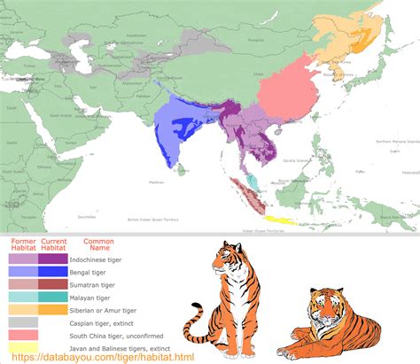 Tiger Subspecies Habitat Map