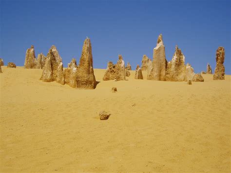 10 Remarkable Facts about The Pinnacles Desert - Discover Walks Blog