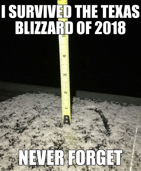 Snow in Texas! : r/funny