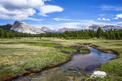 Tuolumne Meadows || Yosemite National Park || Dirt In My Shoes ⋆ Dirt In My Shoes