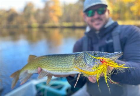 How to Catch Pickerel in Winter | Outdoor Life