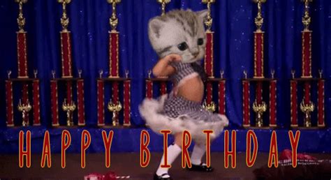 Happy Birthday Funny GIFs - Get the best GIF on GIPHY